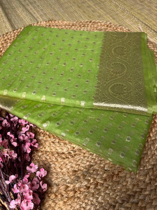 Banarasi Pista Green Organza Saree